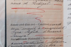 BI - profissão e estado civil