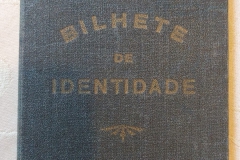 BI - Capa