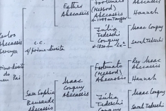 Genealogia filhos Salomão e Sara
